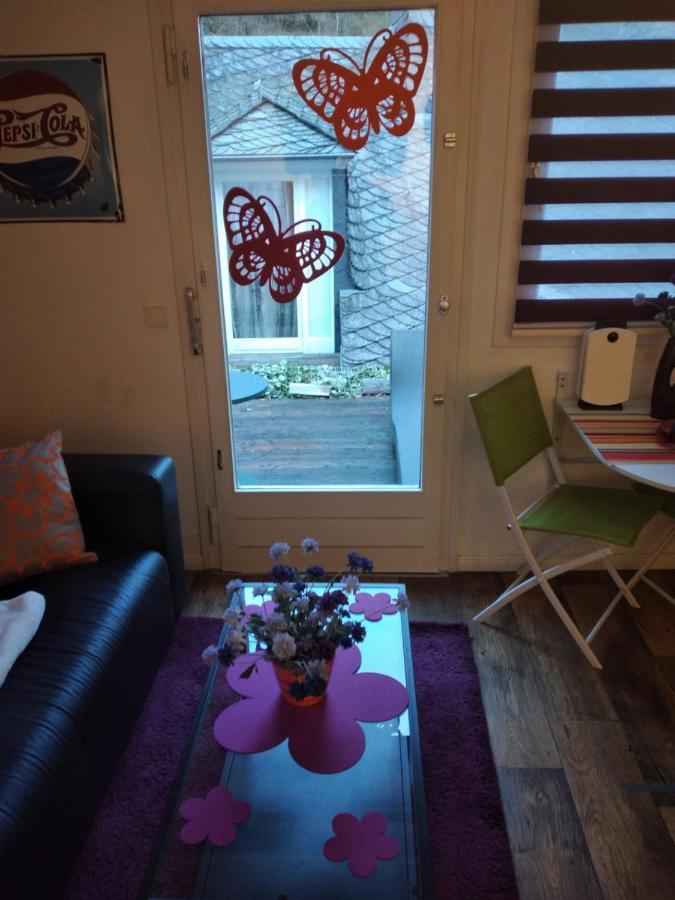 Ferienwohnung "Kunterbunt" Mit Burgblick Und Dachterrasse Μονσάου Εξωτερικό φωτογραφία